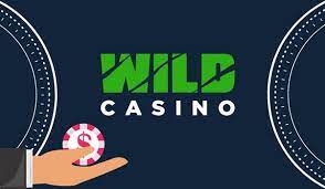 Wild Joker Casino Site: In-Depth Evaluation of Games, Bonuses, and User Experience